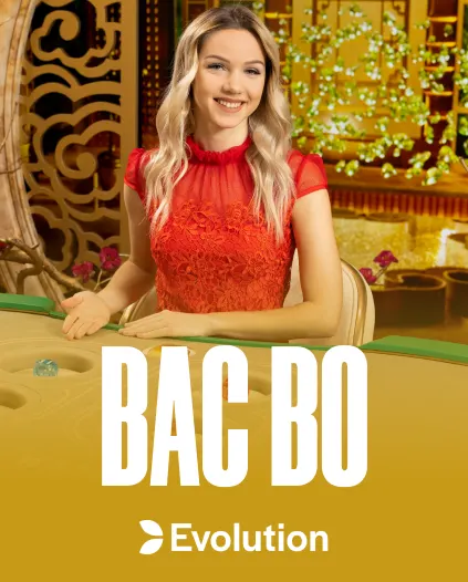 Live Game at Spinbara Casino